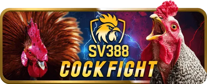Chương trình VIP kubet19 win
